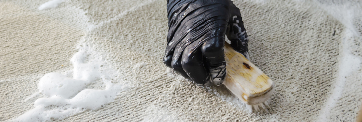 upholstery cleaning