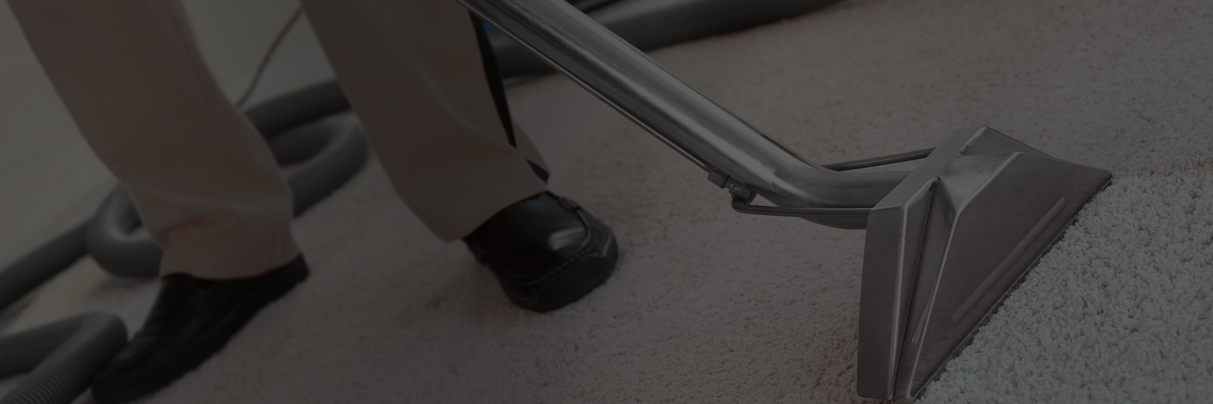 carpet cleaning services