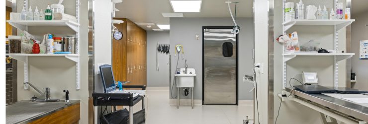 veterinary cleaning services