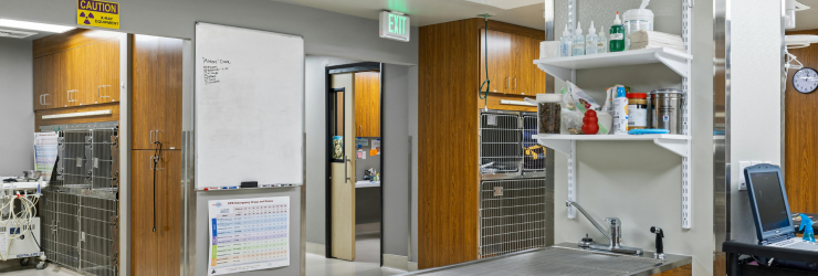 cleaning services for veterinary