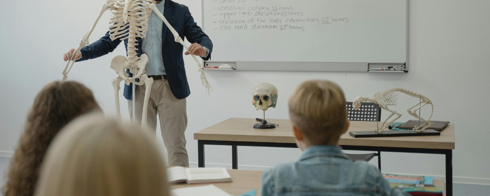 classroom cleaning services